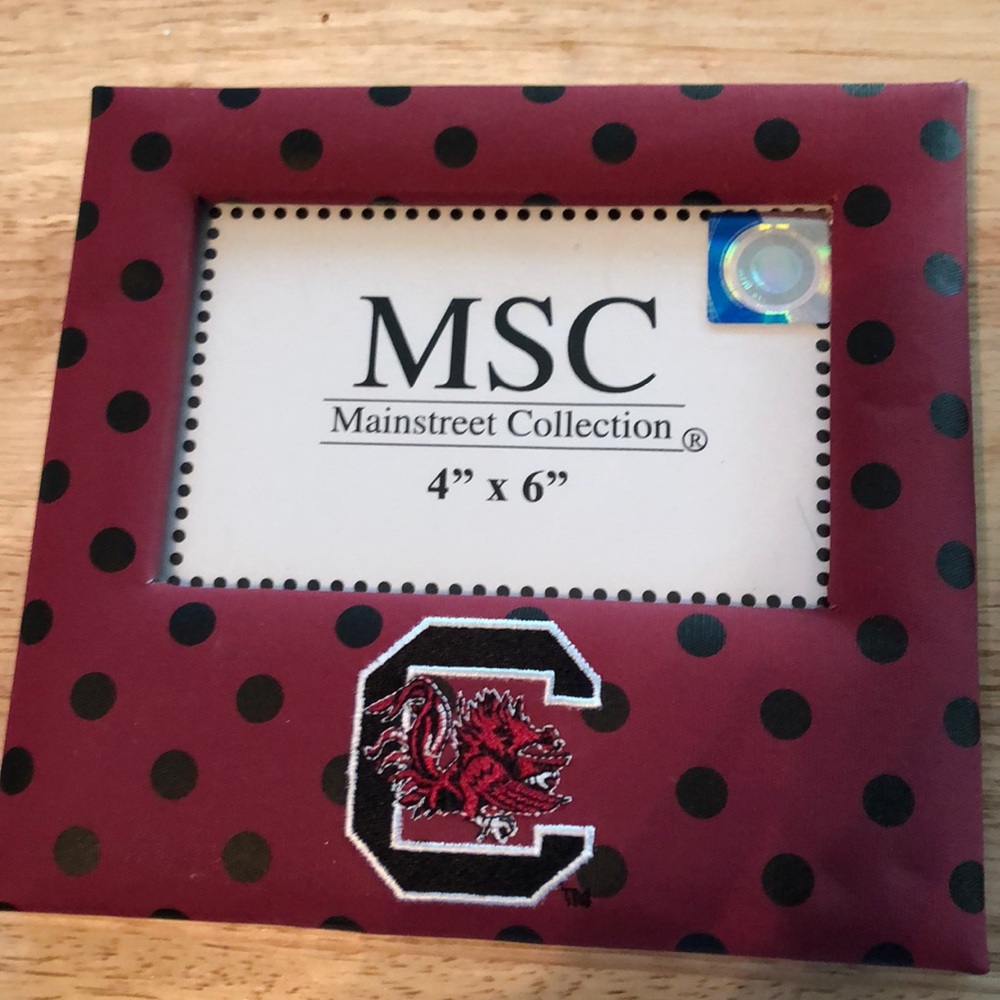 Picture Frame. 4” by 6” photo. Carolina gamecocks.